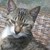 :iconriot-nyx: