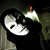 :iconriottherestless: