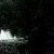 :iconripasphyxiation: