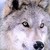 :iconripley01: