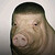 :iconriplox: