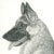 :iconripper-snapper: