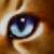 :iconrippletail: