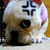 :iconripuallthieves: