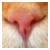 :iconririkochan: