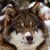 RiseFromLair :iconrisefromlair: