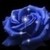 :iconrisenruthless: