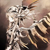 :iconrising-sunl3: