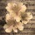 :iconrisingdawn89: