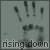 :iconrisingdown:
