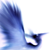 :iconrisingsilverphoenix: