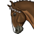 :iconrisk-stang: