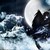 :iconrisksxinxlife: