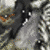 :iconrisorgiment: