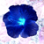 :iconrissi-art-space: