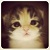 :iconrissie625: