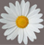 :iconrisuritsu: