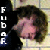 :iconritaly: