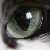 :iconRitta: