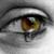 :iconrivenmyst: