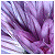 :iconriver-dancer: