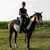 :iconriverbend-ranch: