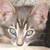 :iconriverpelt6450: