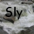:iconriversly-chan: