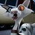 :iconriversong123: