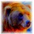 :iconrivertail: