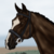 :iconrivervalleyec: