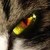 :iconriverwarrior: