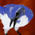 :iconriverwater12: