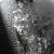 :iconrixter: