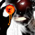 :iconriyga: