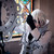 :iconriyi: