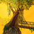 :iconrizem-dk: