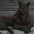 :iconrizenightphoenix: