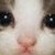 :iconrizorm23: