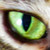:iconrjforsuk: