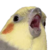 :iconrjpaints: