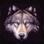 :iconrjsilverfang: