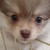 :iconrkartlover: