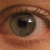 :iconrlnewby: