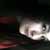 :iconrlxlv: