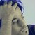 :iconrmad999: