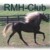 :iconrmh-club: