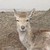 Rmrz :iconrmrz: