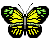 :iconro-oney: