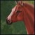 :iconro-sea: